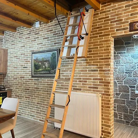 Saselisht Harmony 4 Bedroom Πόγραδετς